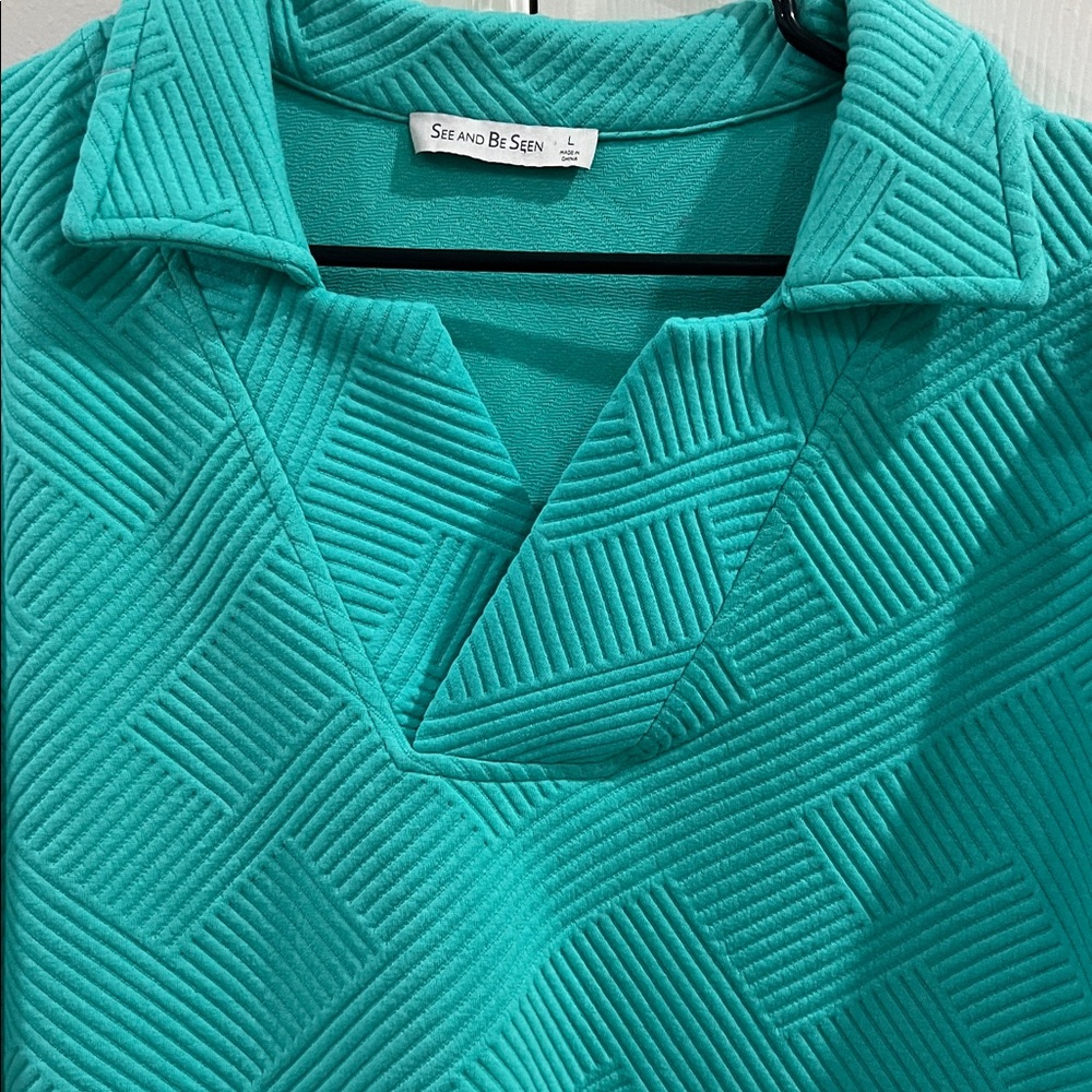 See And Be Seen Teal Polo Shirt and Shorts Set - Picture 3 of 6